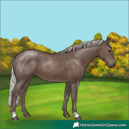 Horse Color:Silver Black 