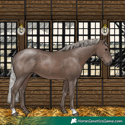 Horse Color:Silver Black