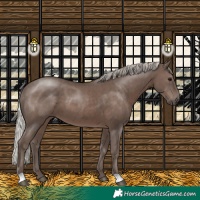 Horse Color:Silver Black 