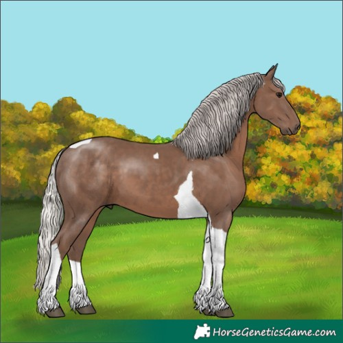 Horse Color:Silver Black Tobiano 
