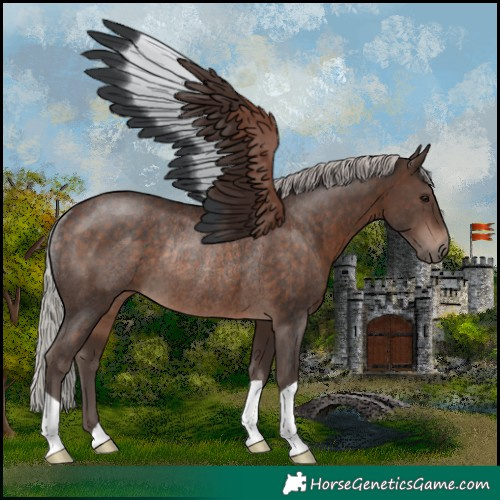 Horse Color:Silver Brown Rabicano 