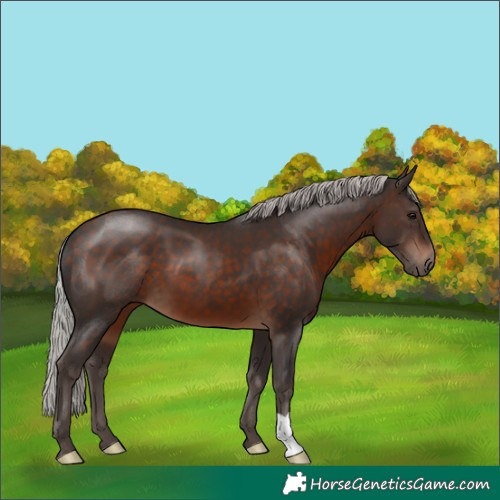 Horse Color:Silver Brown