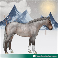 Horse Color:Silver Brown Roan 