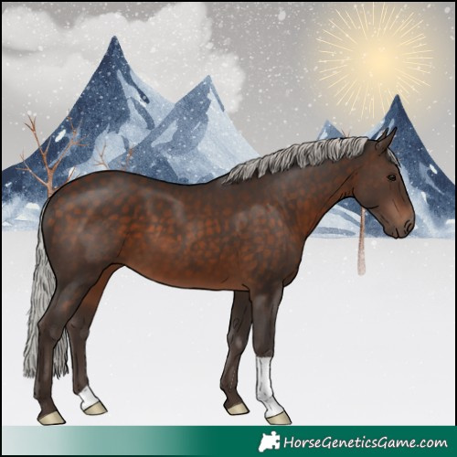 Horse Color:Silver Brown 