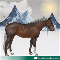 Horse Color:Silver Brown 
