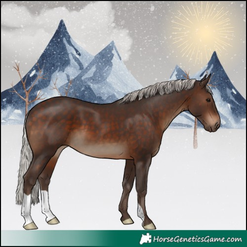 Horse Color:Silver Brown 