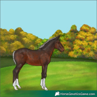Horse Color:Silver Brown 