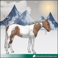Horse Color:Silver Brown Dun Tobiano