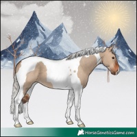 Horse Color:Silver Brown Dun Tobiano