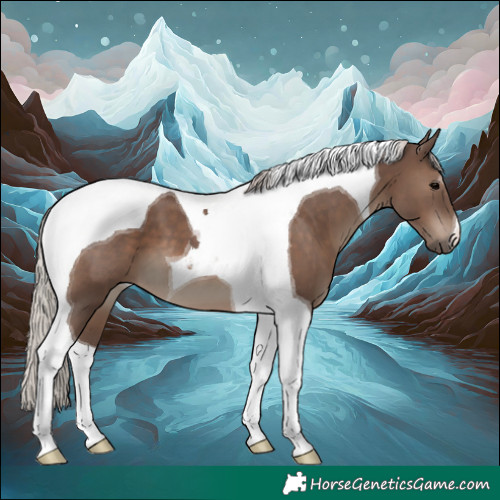 Horse Color:Silver Black Tobiano