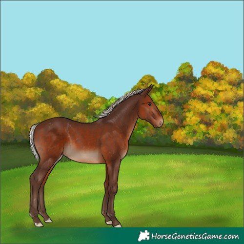 Horse Color:Silver Brown