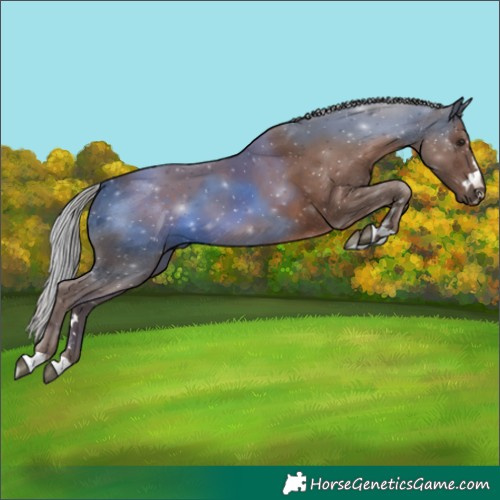 Horse Color:Silver Black 