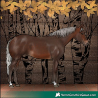 Horse Color:Silver Brown