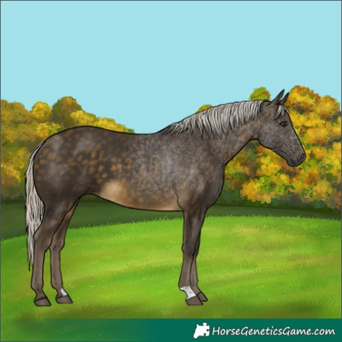 Horse Color:Silver Buckskin 