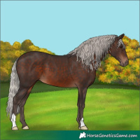 Horse Color:Silver Brown