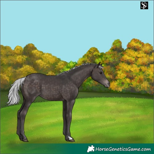 Horse Color:Platinum Silver Brown 