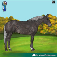 Horse Color:Platinum Silver Brown