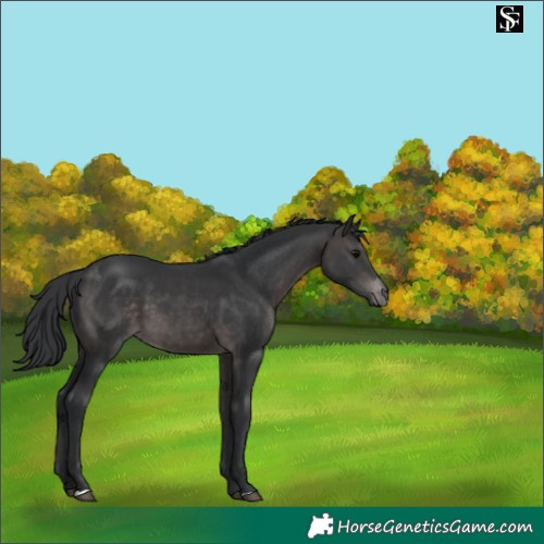 Horse Color:Platinum Brown 