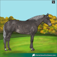 Horse Color:Platinum Silver Brown