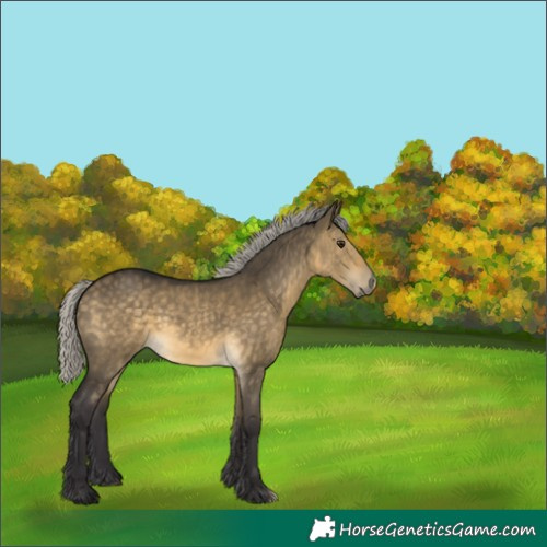 Horse Color:Silver Buckskin Dun 