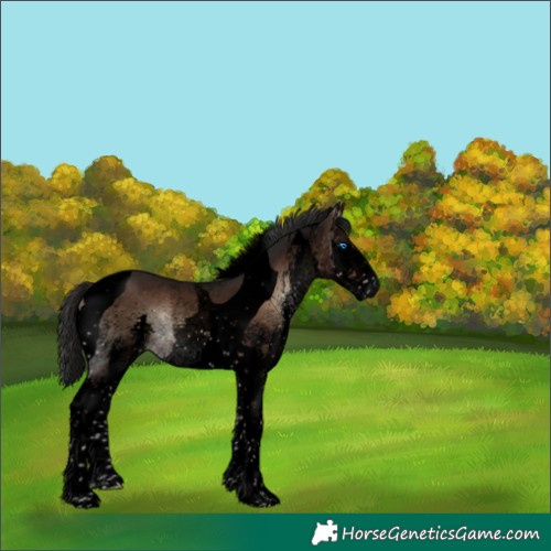 Horse Color:Void White Spotted Liver Red Onyx Splash Tobiano 