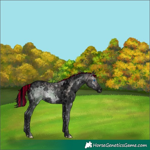 Horse Color:Void Platinum Painted Brown Onyx Splash Tobiano 