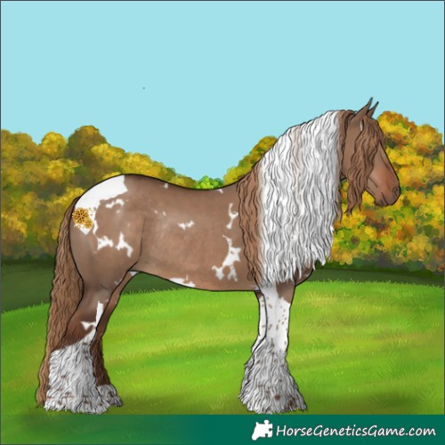 Horse Color:White Spotted Liver Red Dun Tobiano Rabicano 