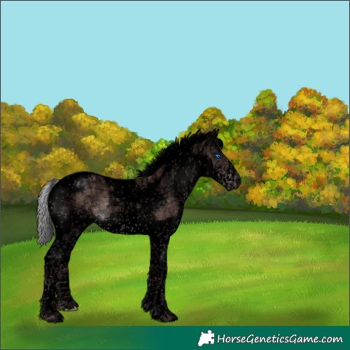 Horse Color:Void Platinum Chocolate Silver Brown Splash Tobiano 