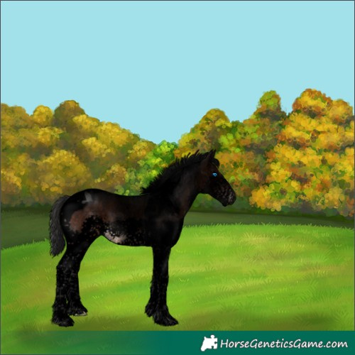 Horse Color:Void Brown Splash Tobiano 