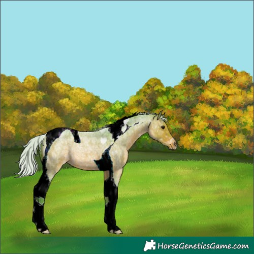 Horse Color:Watercolor Silver Brown Ice Roan Tobiano 