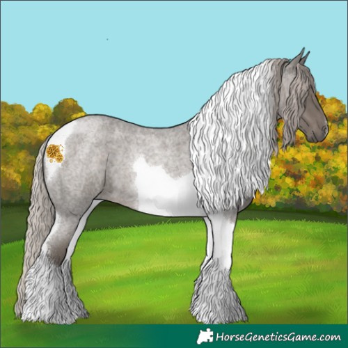 Horse Color:Silver Blue Roan Tobiano 