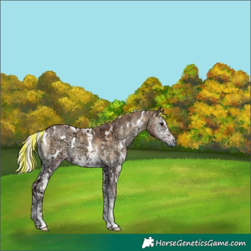 Horse Color:Painted White Spotted Silver Bay Ice Onyx Sabino 