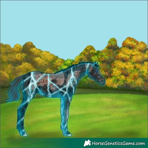 Horse Color:Void Thunderstruck Brown Ice Splash Tobiano 