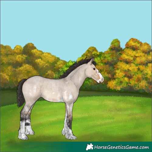 Horse Color:Brown Roan Dun Sabino 