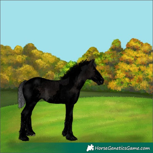 Horse Color:Void Platinum Brown Splash Tobiano 