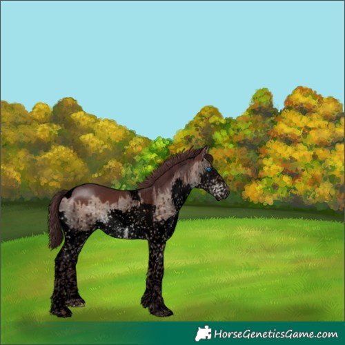 Horse Color:Void Chocolate Brown Dun Sabino Splash Tobiano Brindle 