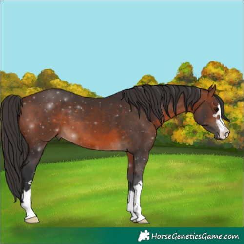 Horse Color:Brown 
