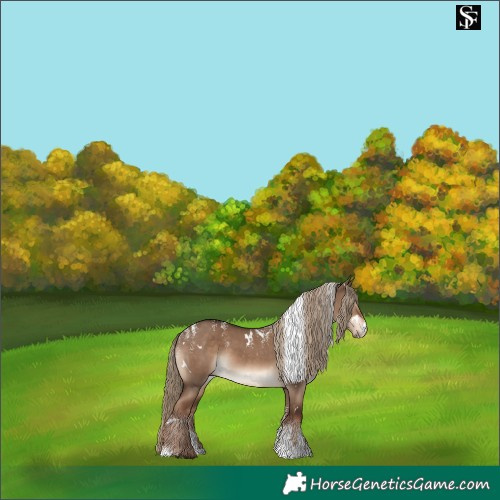 Horse Color:Powder White White Spotted Liver Red Dun 