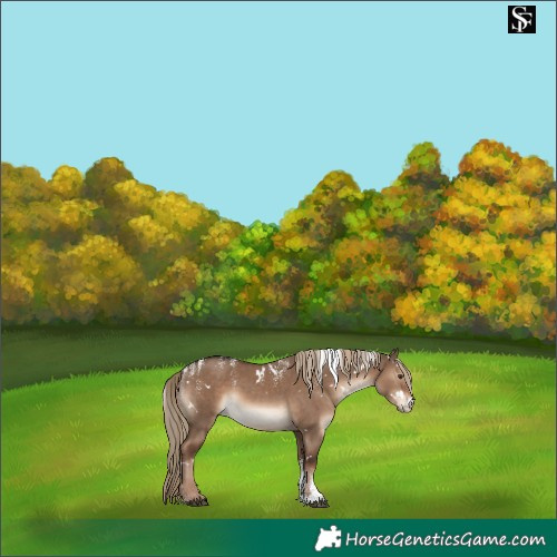 Horse Color:Powder White White Spotted Liver Red Dun