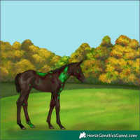 Horse Color:ERROR: UNKNOWN ANOMALY