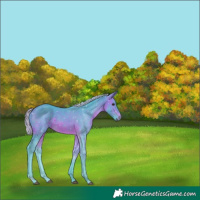 Horse Color:Watercolor Silver Brown 