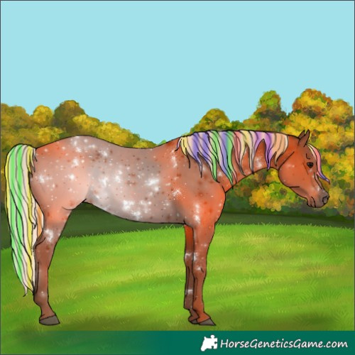 Horse Color:Painted White Spotted Silver Black Rabicano 