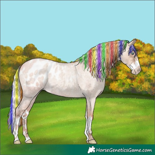 Horse Color:Painted Silver Classic Champagne Ice Roan Dun Splash Appaloosa