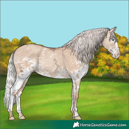 Horse Color:White Spotted Silver Classic Champagne Ice Dun Splash Rabicano 
