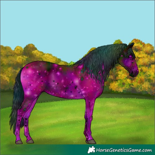 Horse Color:ERROR: UNKNOWN ANOMALY