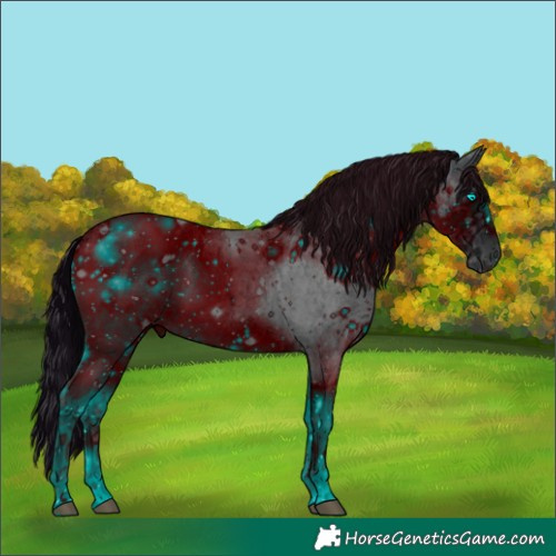 Horse Color:ERROR: UNKNOWN ANOMALY