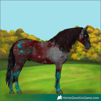 Horse Color:ERROR: UNKNOWN ANOMALY