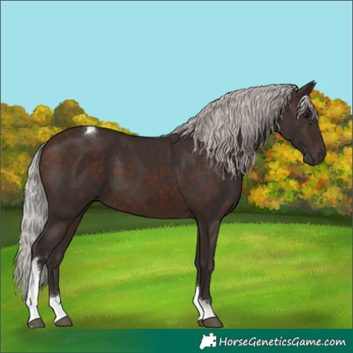 Horse Color:Silver Brown Tobiano 