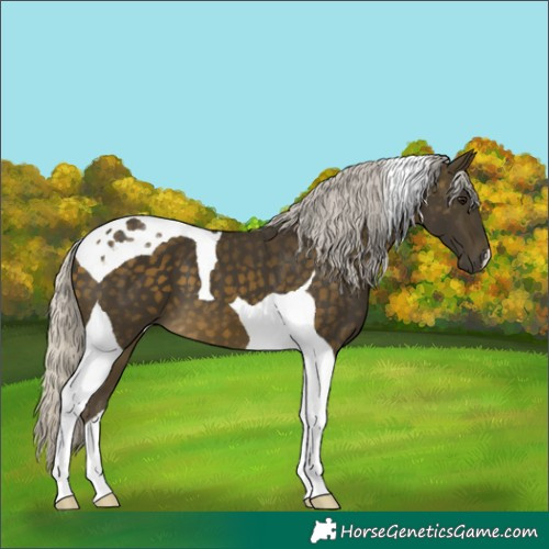 Horse Color:Silver Buckskin Tobiano 