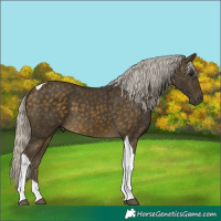 Horse Color:Silver Buckskin Tobiano 